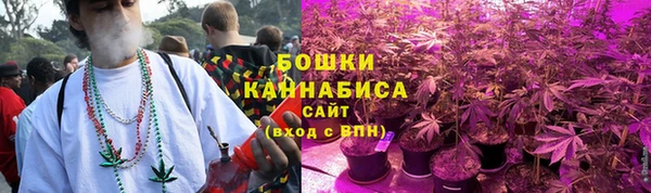 винт Богданович